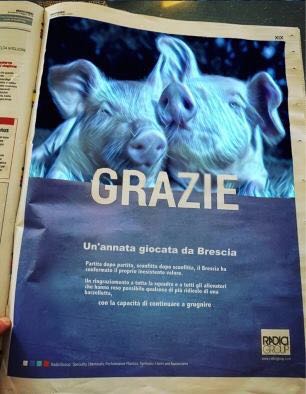 WhatsApp Image 2018-06-01 at 09.15.39