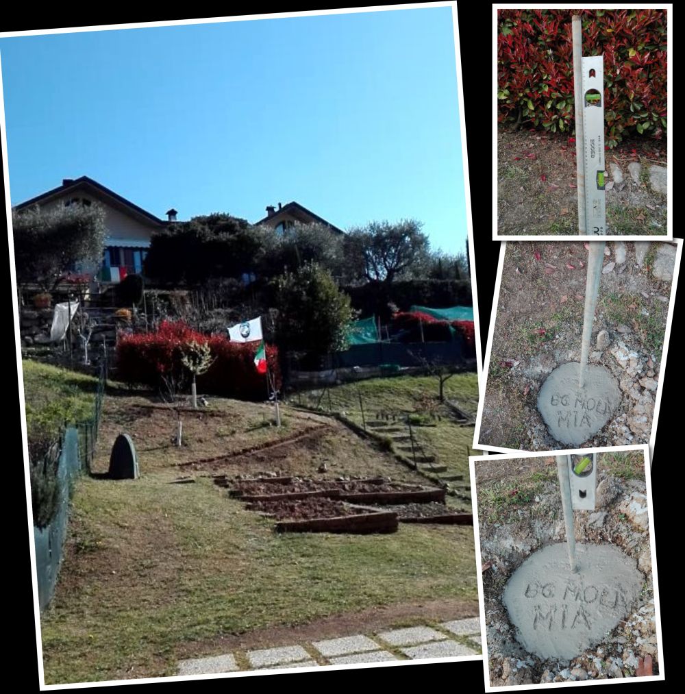 Made using TurboCollage from www.TurboCollage.com